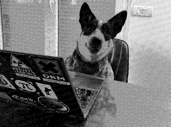 Photo tramée représentant un chien bouvier australien assis sur une chaise, devant un ordinatuer portable, sur lequel il y a des autocollants en faveur de l'open-source